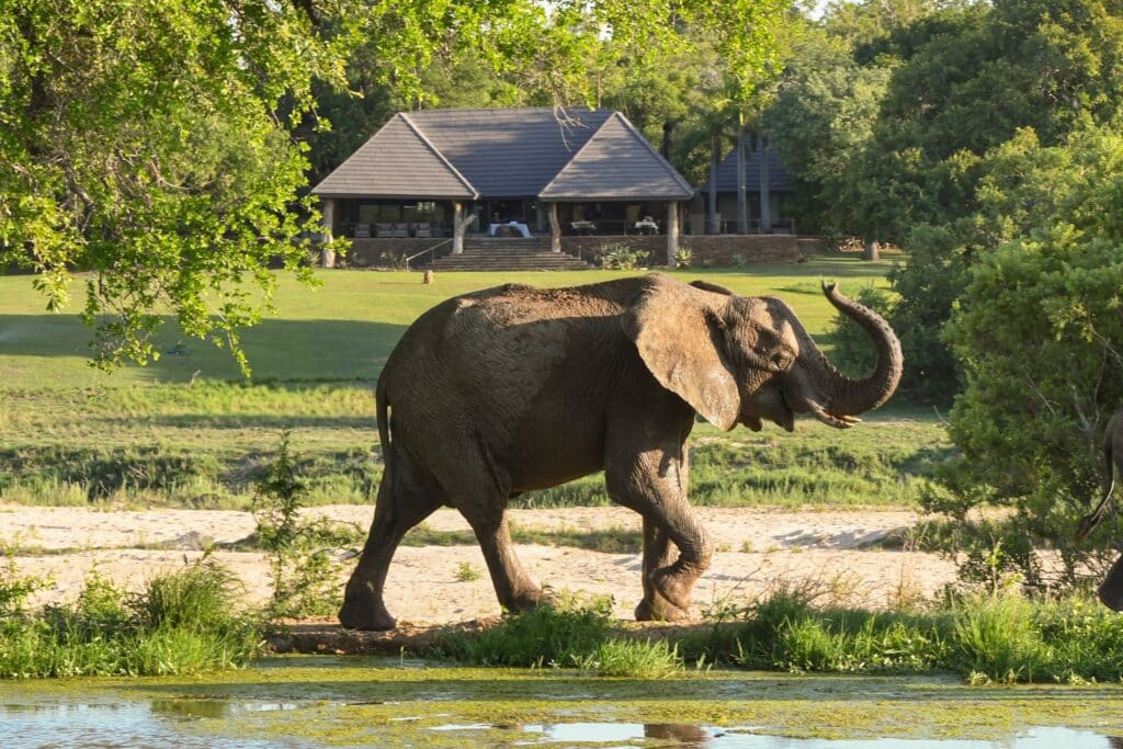 Inyati Game Lodge — foto principale