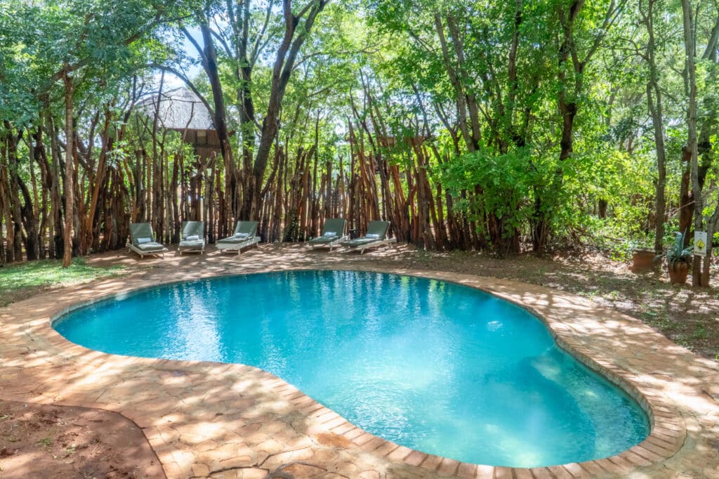 Ivory Lodge — foto galleria 5
