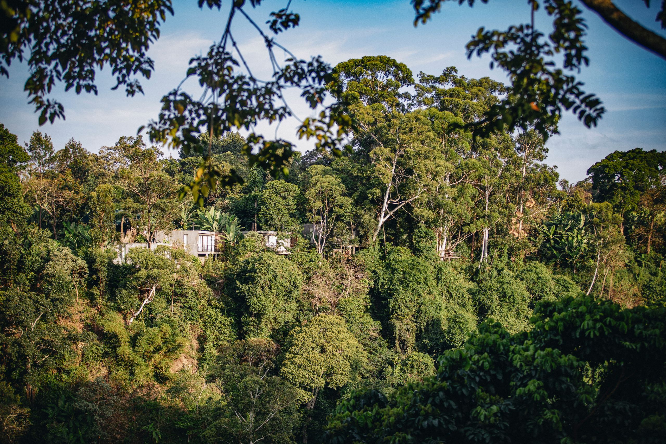 Kaliwa Lodge — foto principale