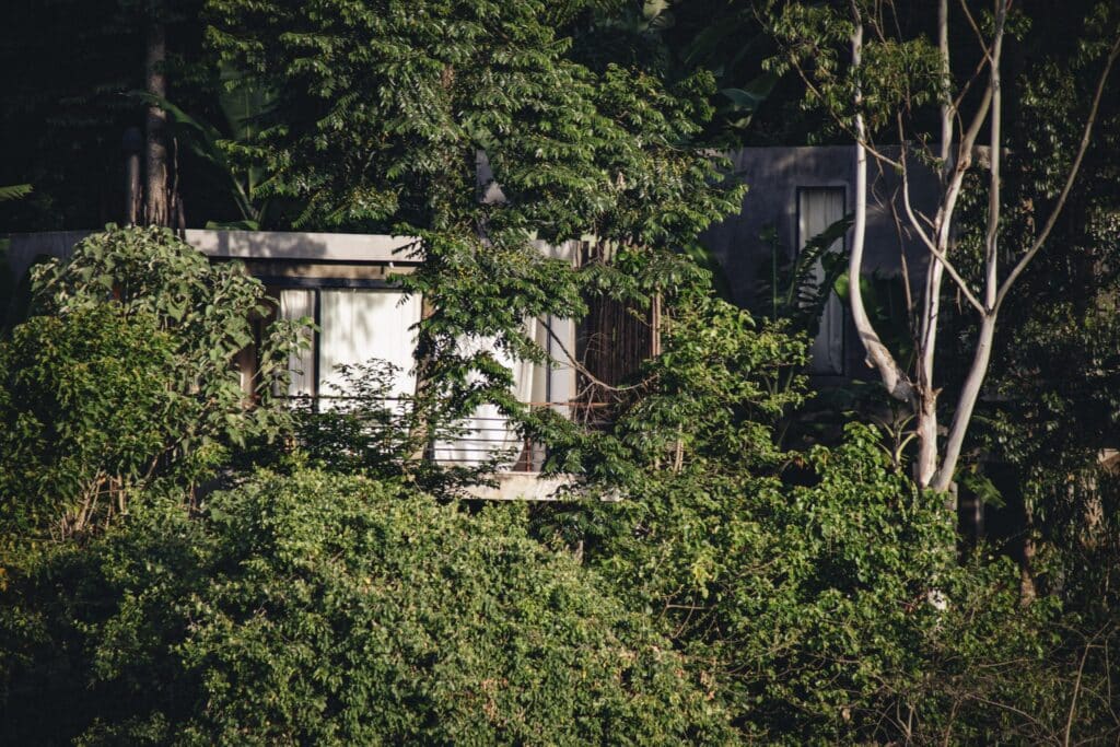 Kaliwa Lodge — foto galleria 5