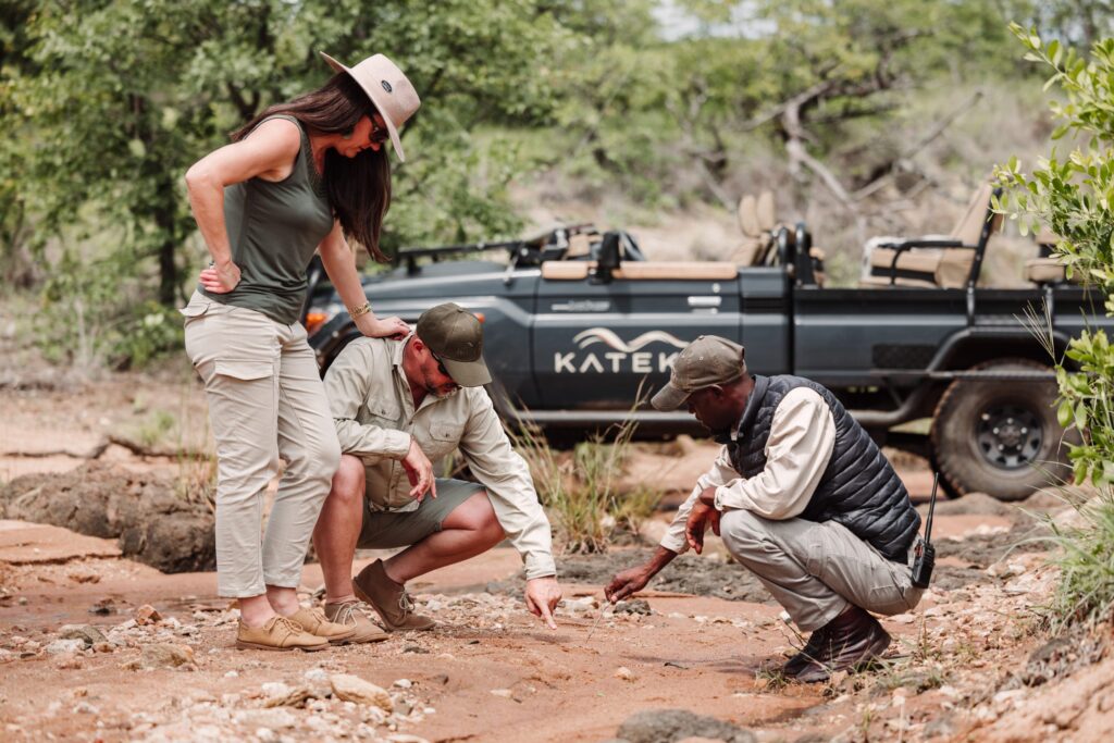 Kateka Safari and Wellness Experience — sezione atmosphere