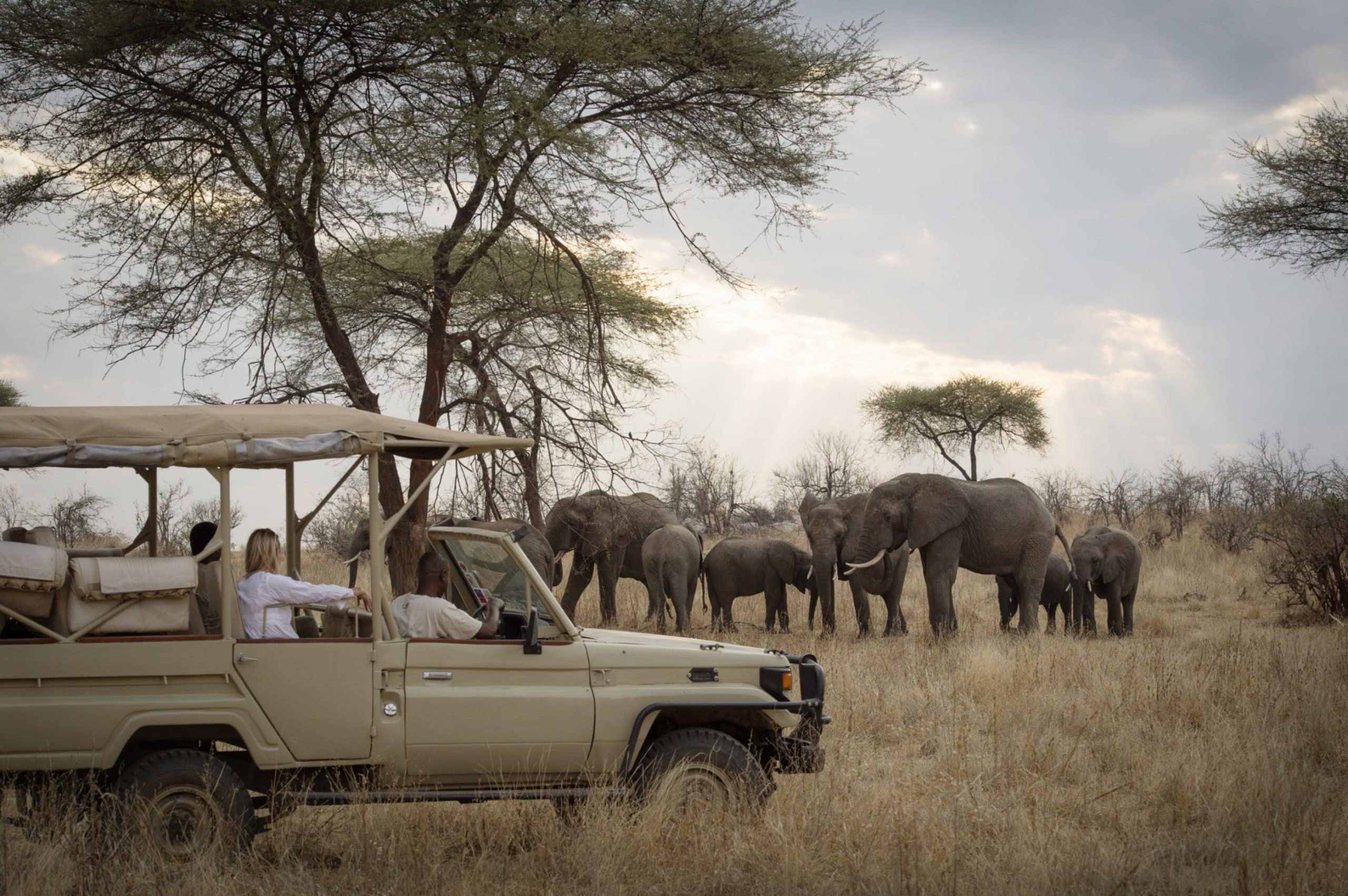 Kigelia Ruaha — foto galleria 3
