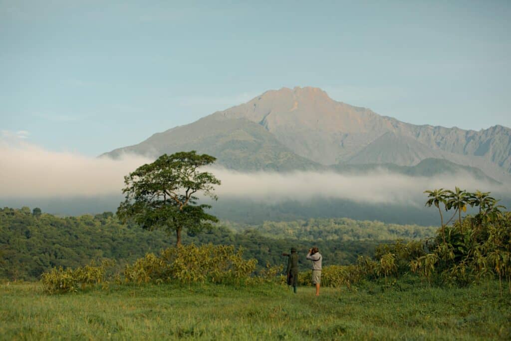 Koroi Forest Camp — foto galleria 4