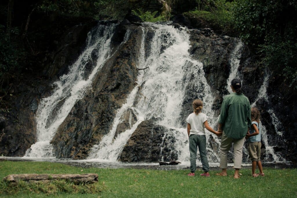 Koroi Forest Camp — foto galleria 6