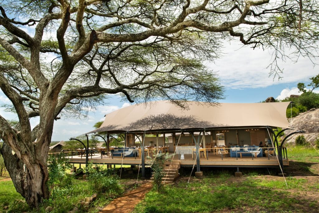 Outdoor cafe beneath a sprawling tree with a beige canopy and string lights over wooden decking, tables set for dining on a sunny day.