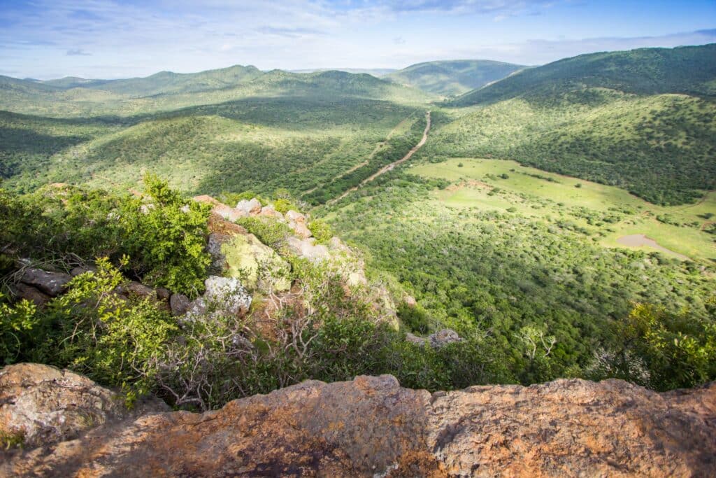 Leopard Mountain Safari Lodge — foto galleria 6