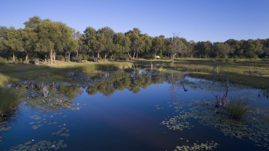 Letaka Safaris — foto principale