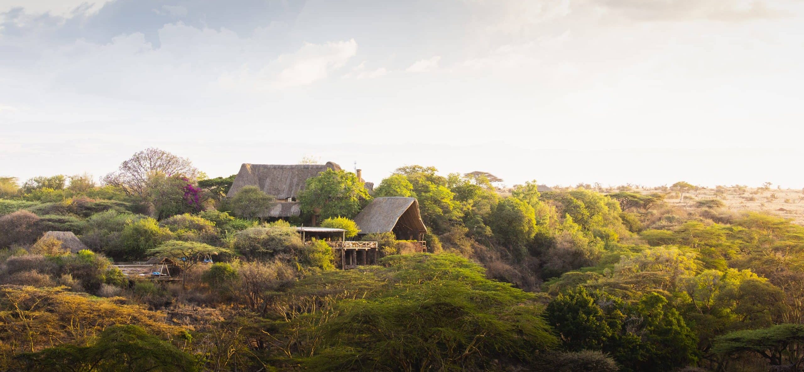 Lewa Wilderness — foto principale