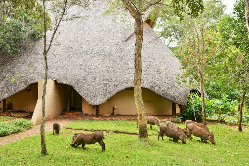 Lokuthula Lodges — foto galleria 6