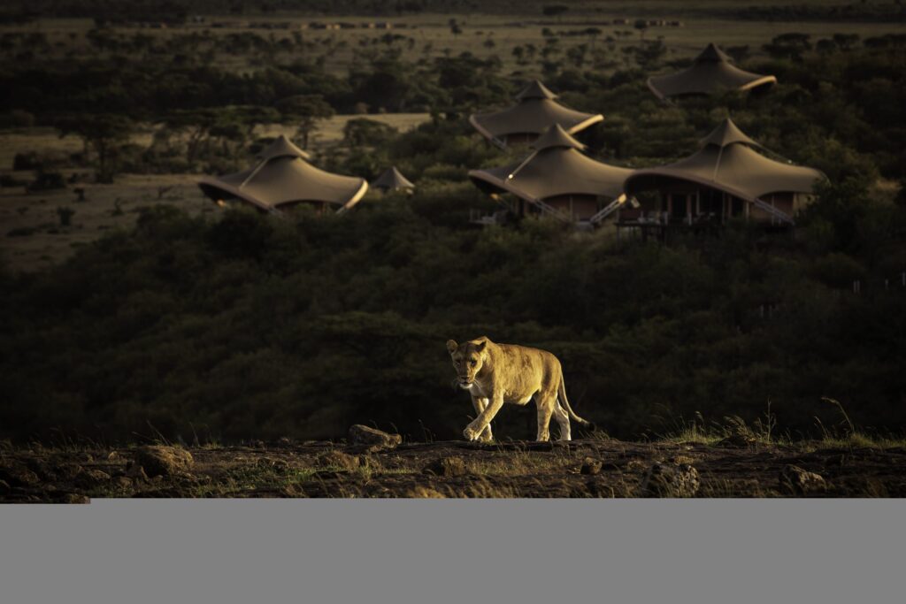 Mahali Mzuri — foto galleria 3