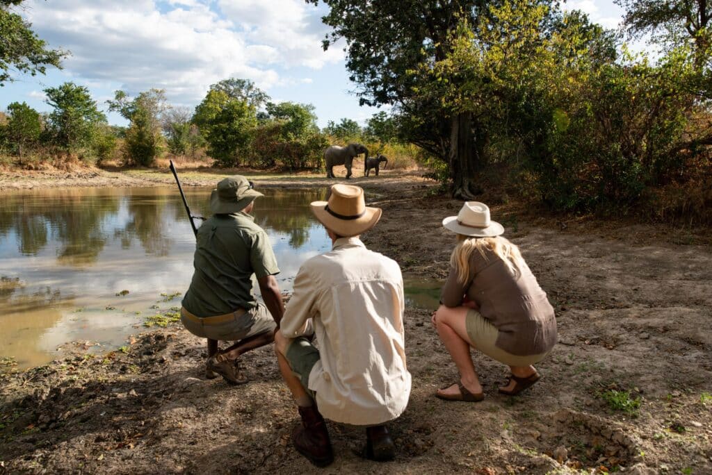 Mana River Camp — foto galleria 6