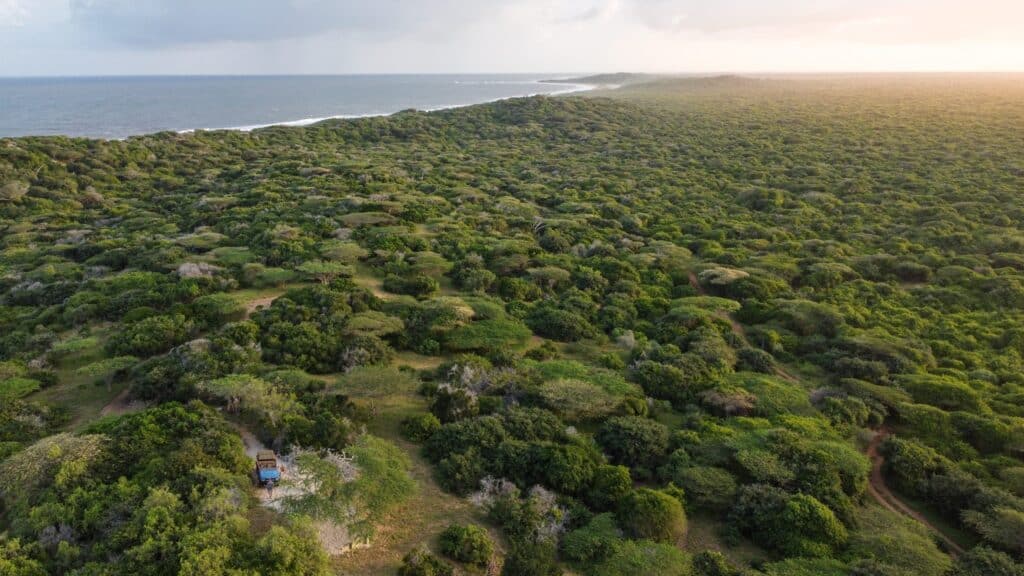 Manda Bay — foto galleria 1