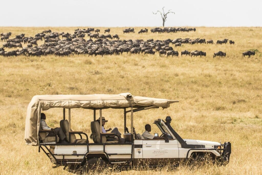 Mara Bushtops Camp — foto galleria 2