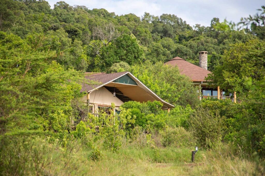 Mara Engai Wilderness Lodge — foto galleria 2