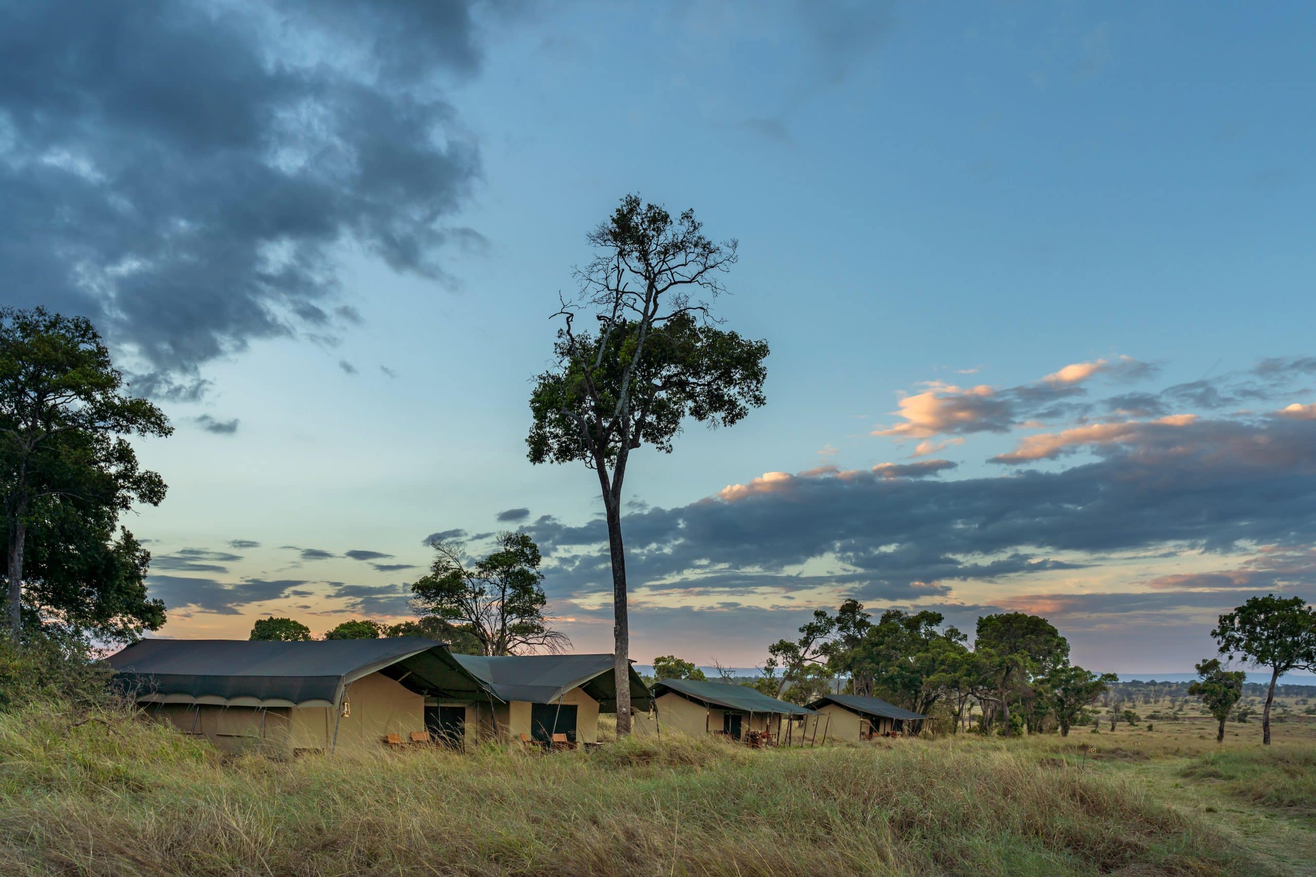 Mara Ndutu Tented Camps — foto principale