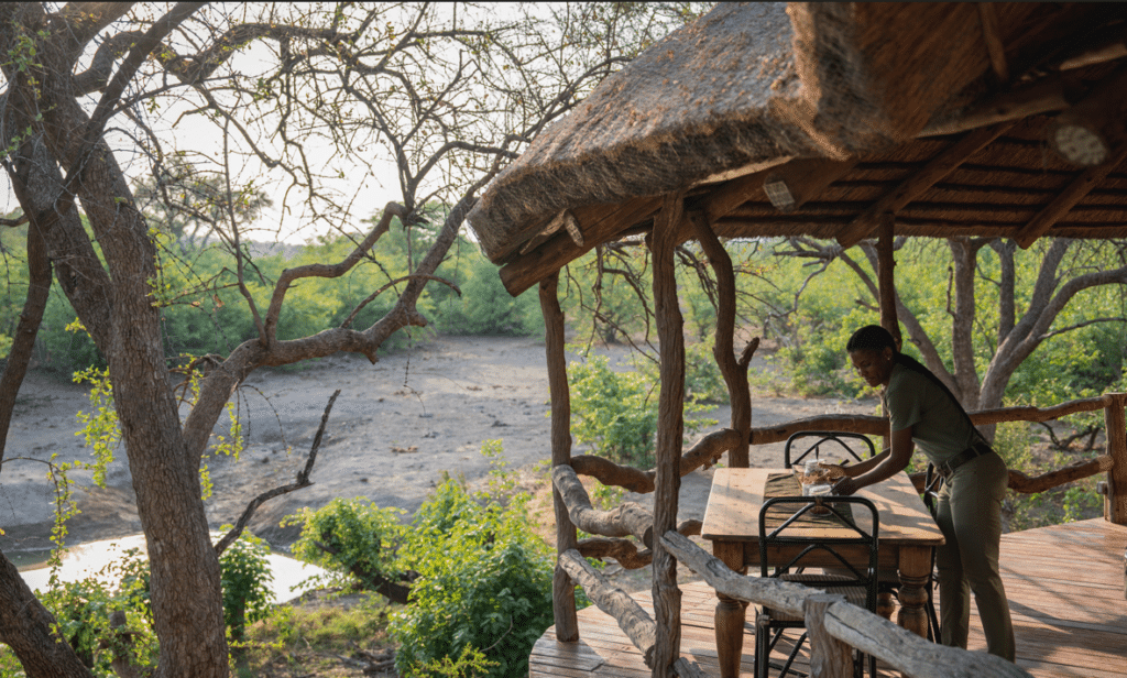 Mashatu Lodge — foto galleria 5