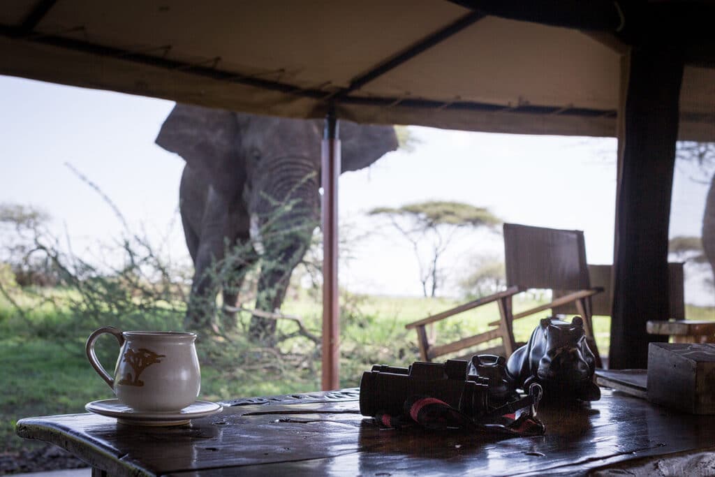 Mawe Tented Camp — foto galleria 5