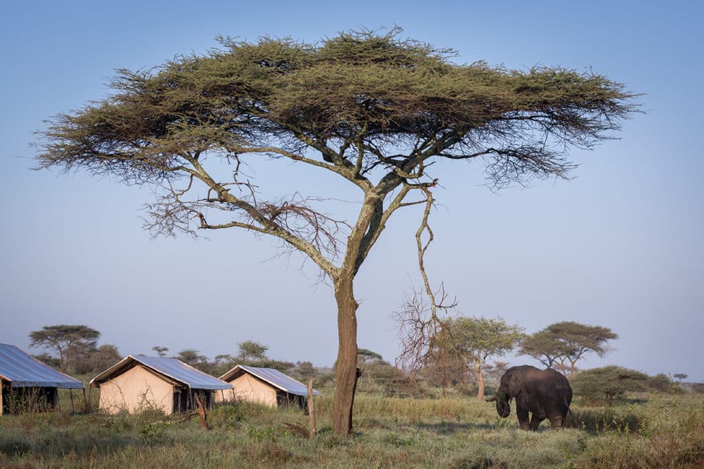 Mawe Tented Camp — foto galleria 6
