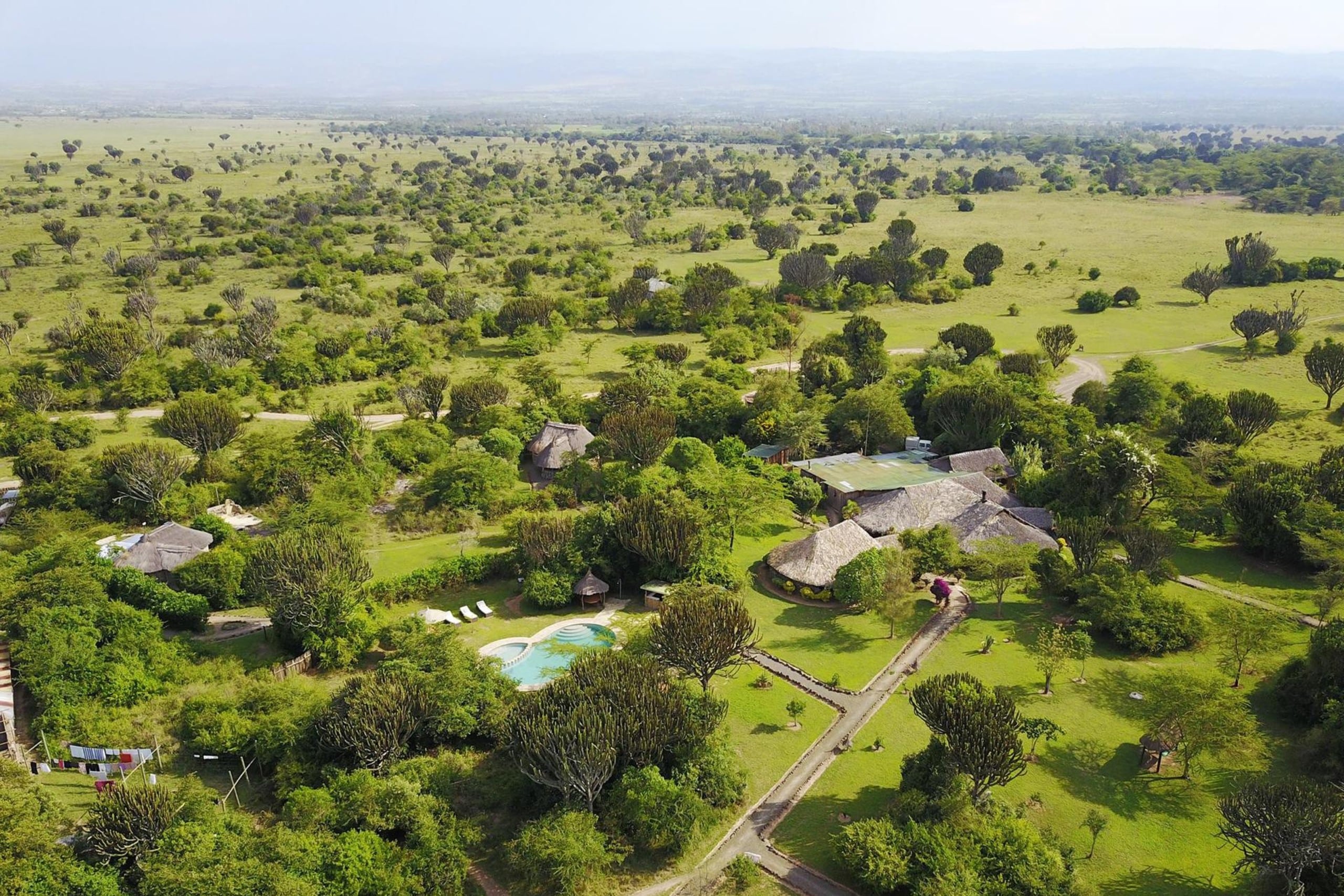 Mbweha Camp — foto principale