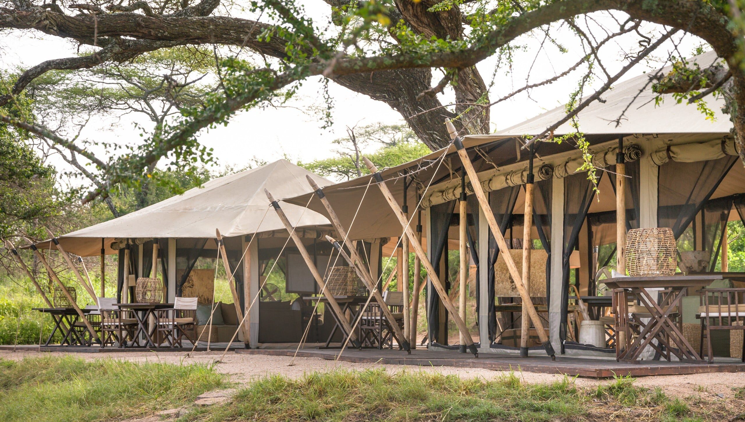 Mila Tented Camp — foto principale