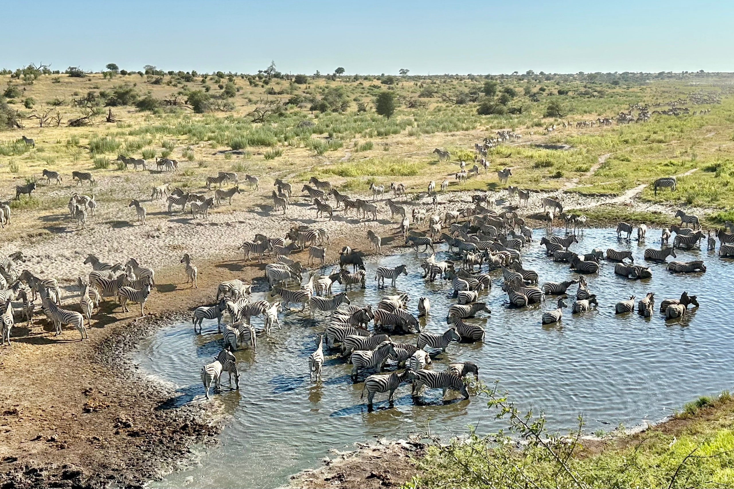 Moela Safari — foto principale