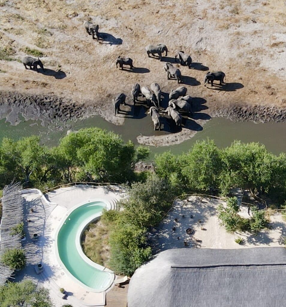 Moela Safari — foto galleria 1