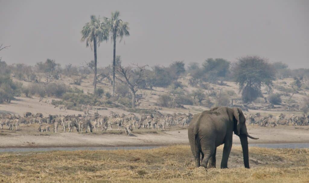 Moela Safari — foto galleria 3