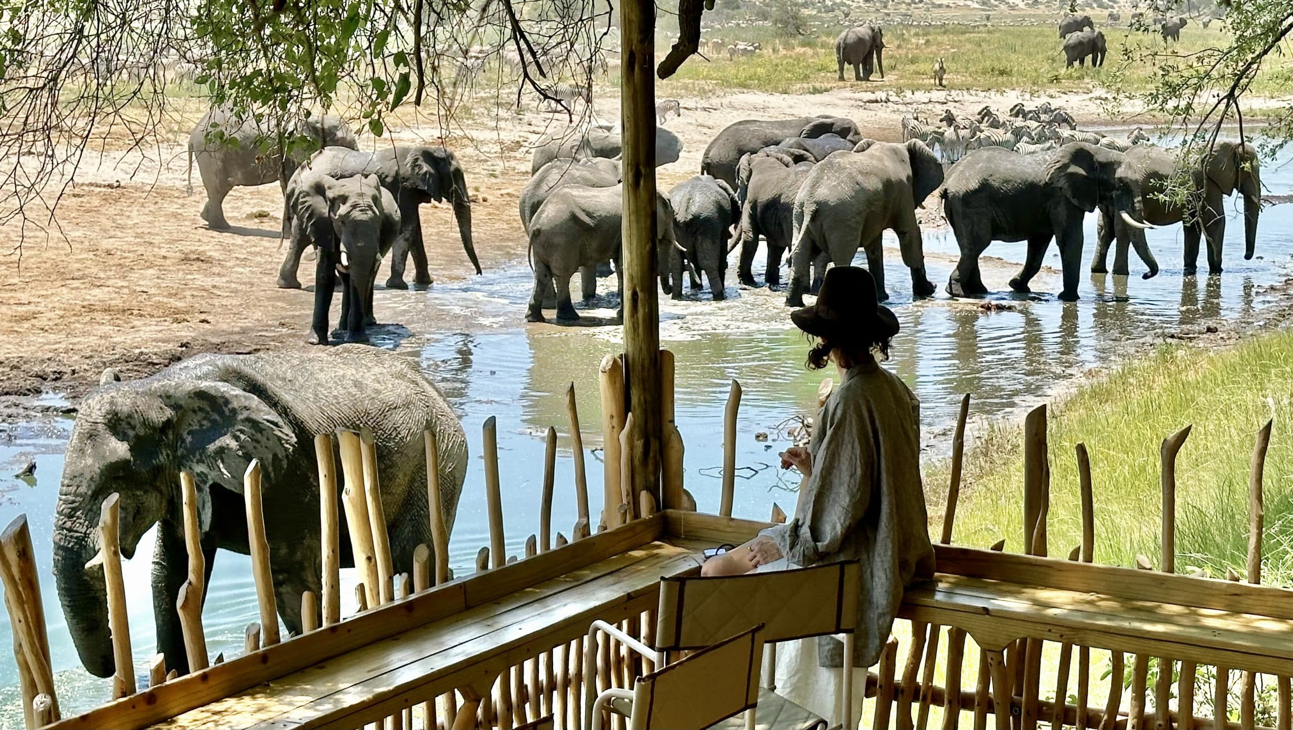 Moela Safari — foto galleria 4