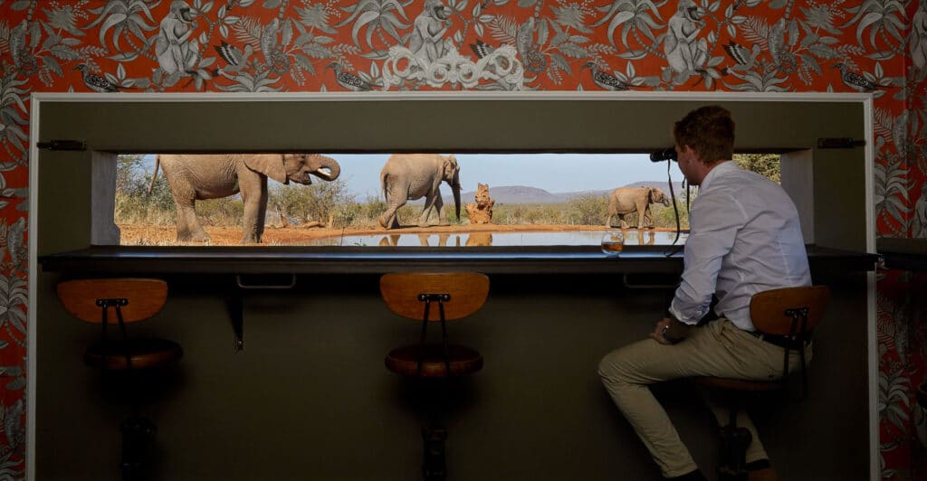 Molori Safari — foto galleria 4