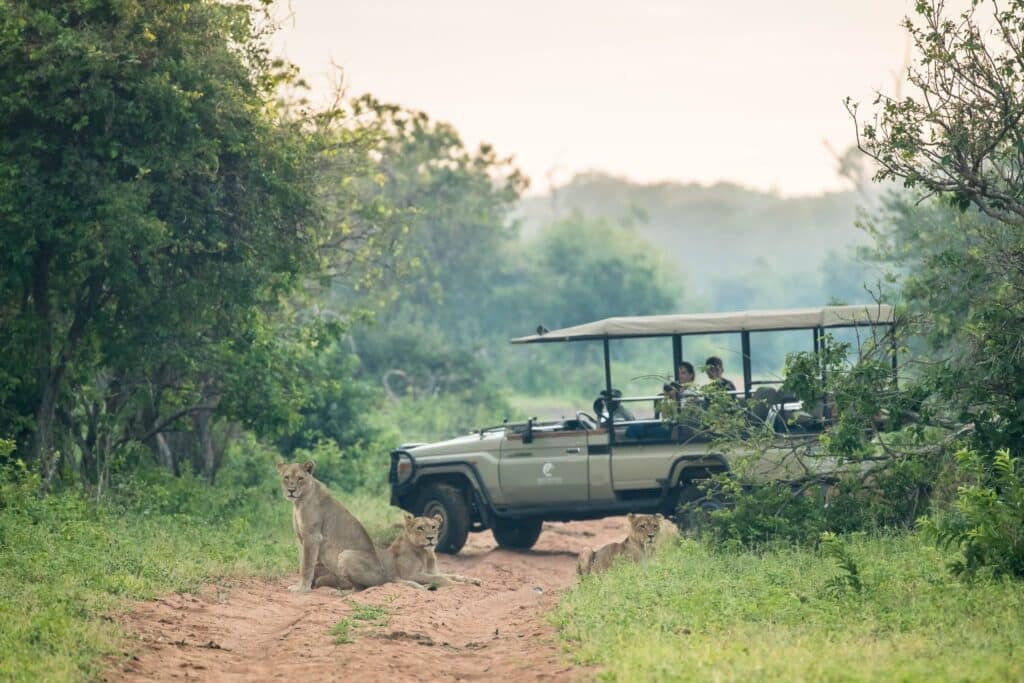 Muchenje Safari Lodge — foto galleria 1