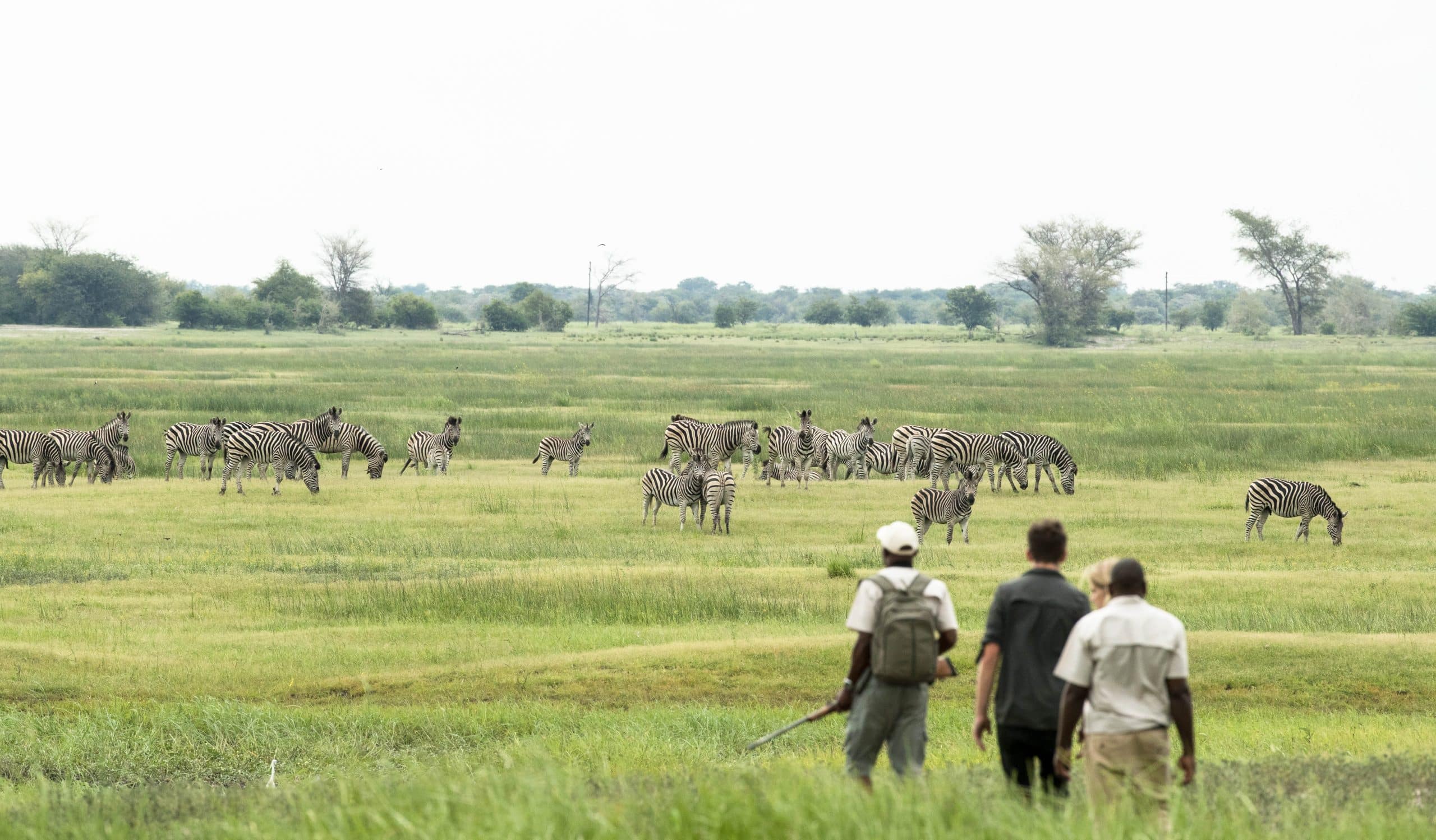 Muchenje Safari Lodge — foto galleria 6
