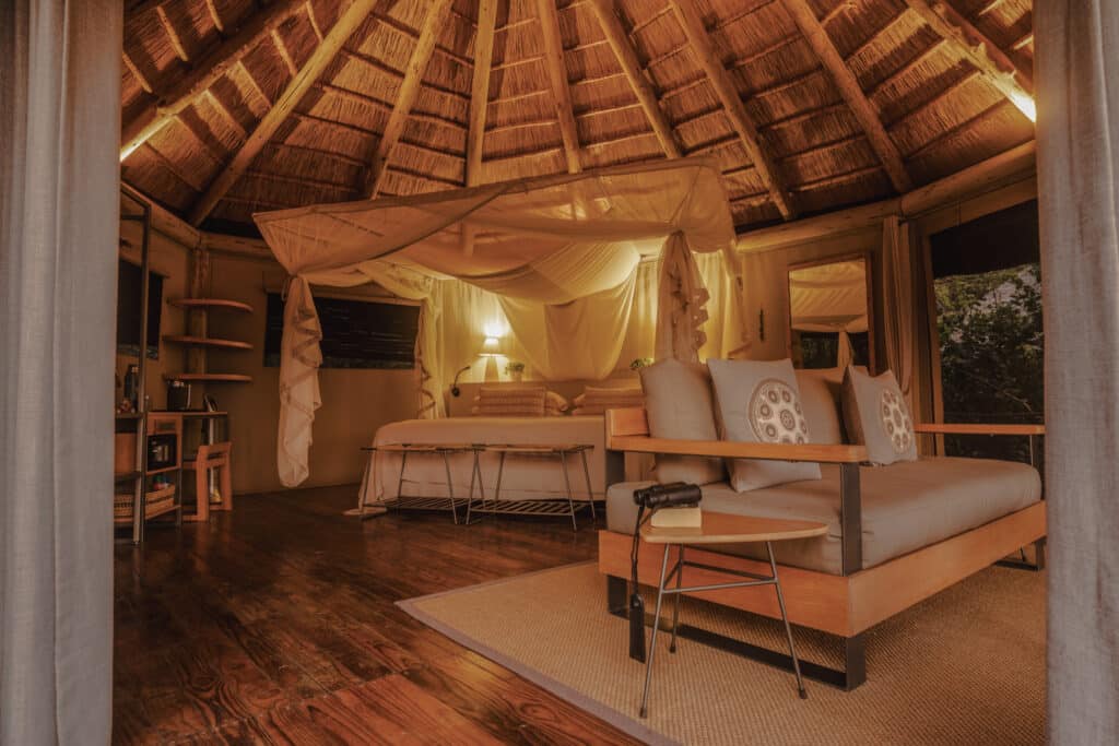 Lion Camp — foto galleria 5