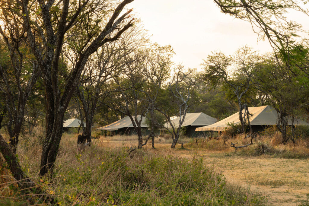 Naona Moru Camp — sezione atmosphere