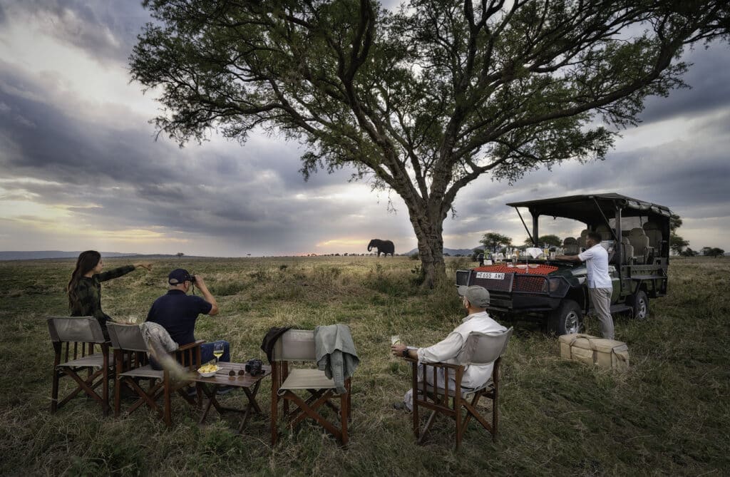 Nimali Serengeti — foto galleria 1