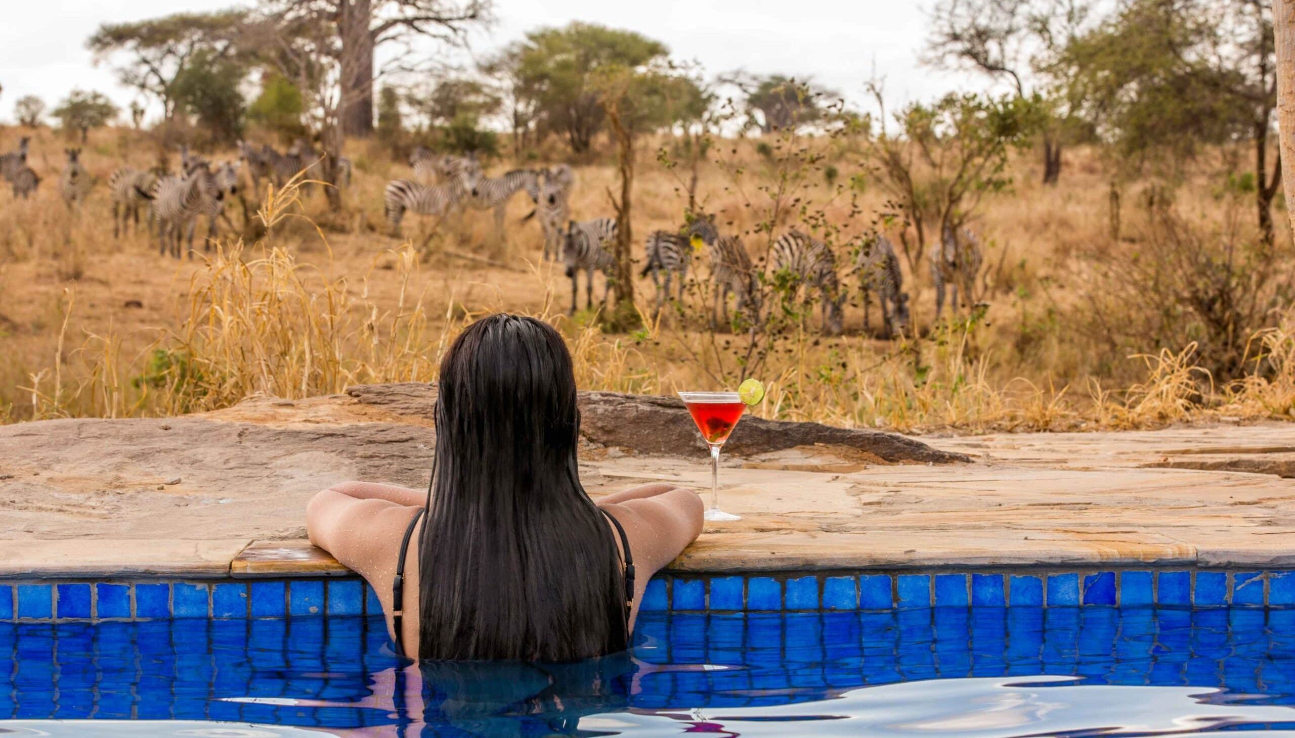 Back view of a person with wet dark hair lounging at a pool edge, a red cocktail with lime beside them, zebras grazing in a dry savannah beyond.