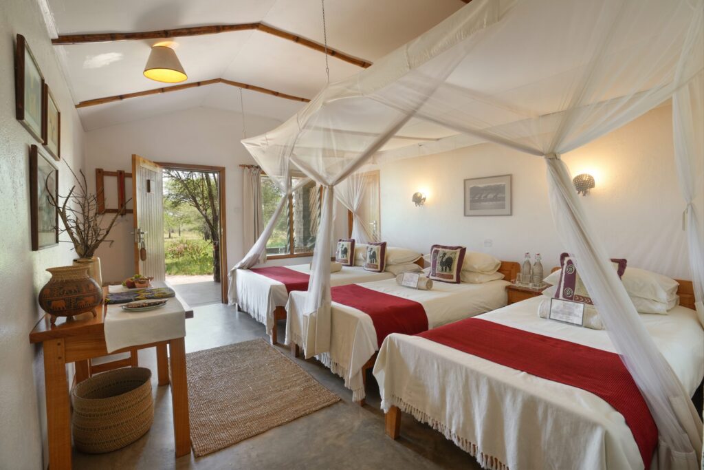 Ndutu Safari Lodge — foto galleria 5