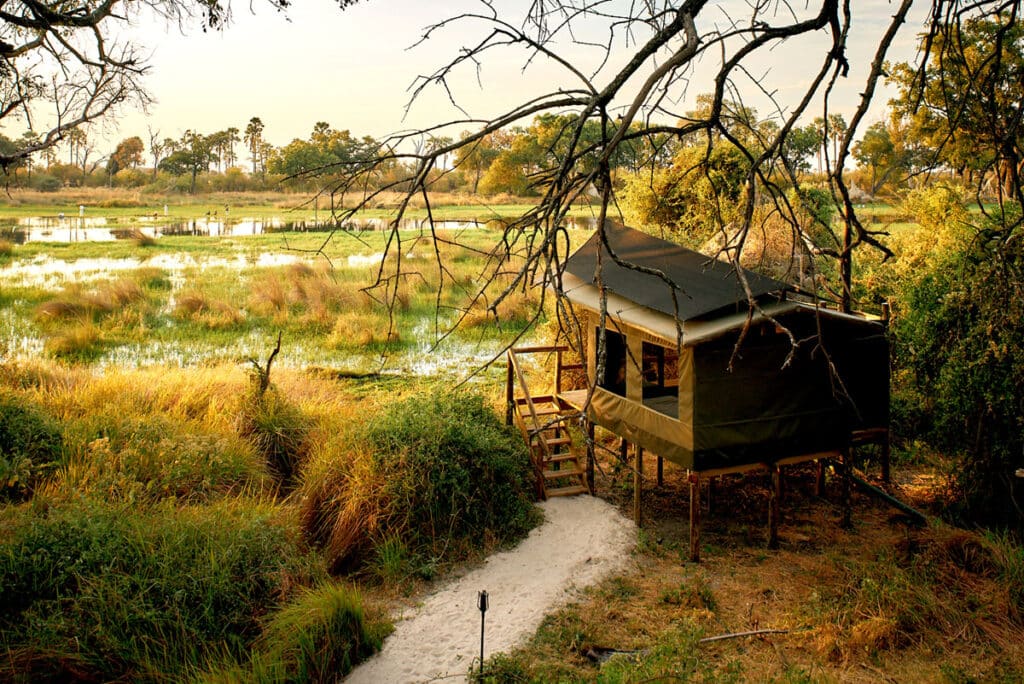 Raised canvas hut on stilts beside a marsh, with a sandy path and overhanging tree branches framing the scene at sunset