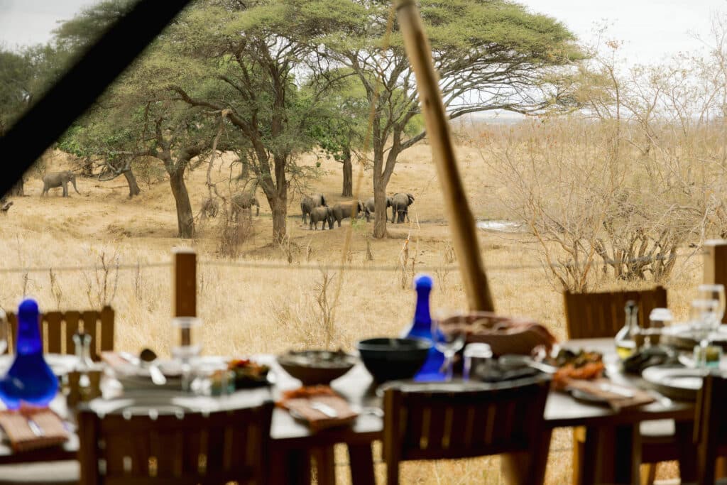 Olkeri Camp — foto galleria 3