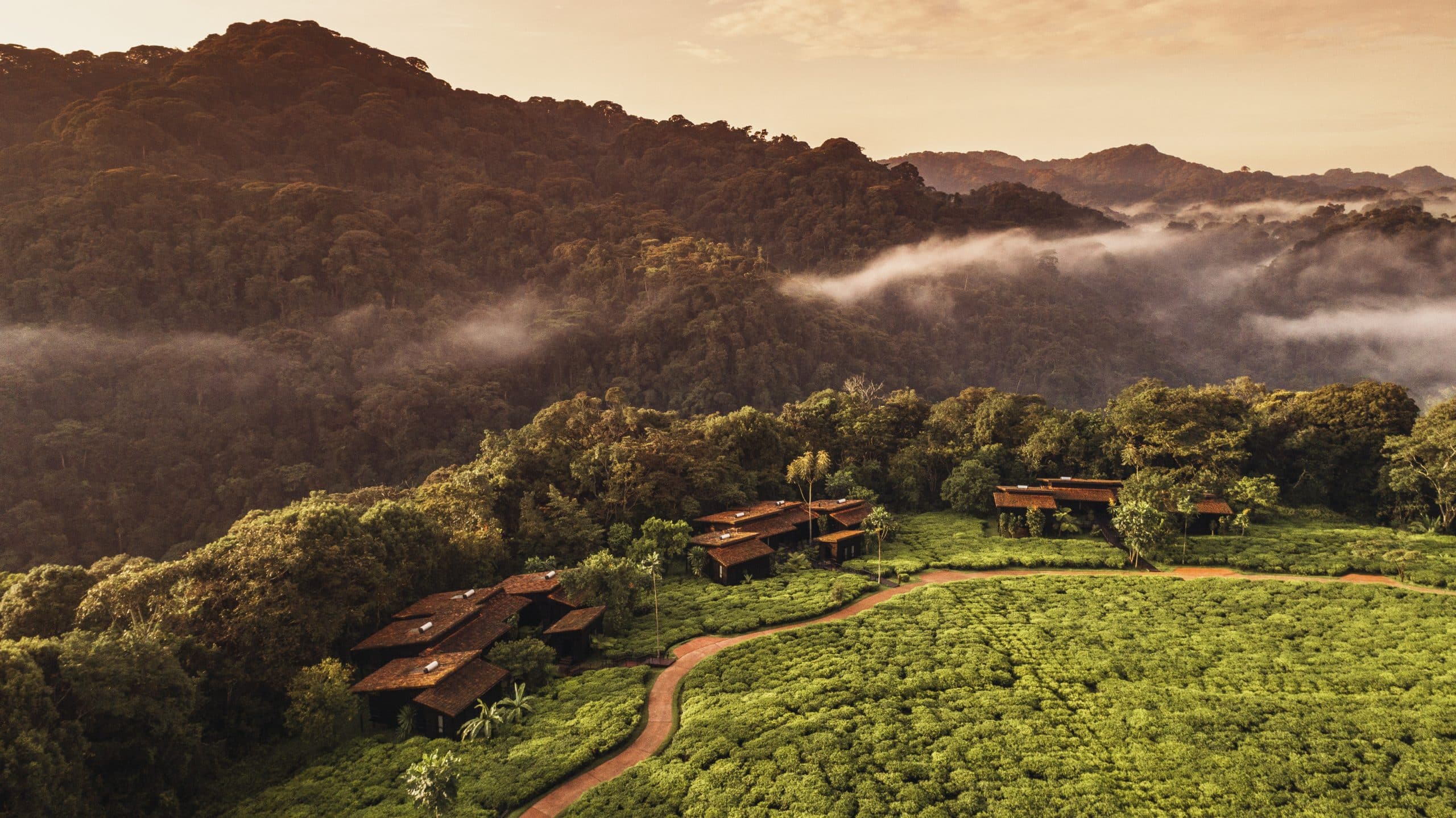 One & Only Nyungwe House Virunga — foto principale