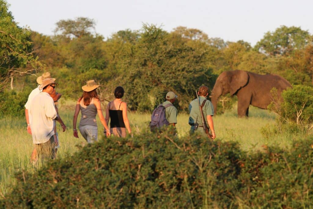 Plains Camp @ Rhino Walking Safaris — foto galleria 6