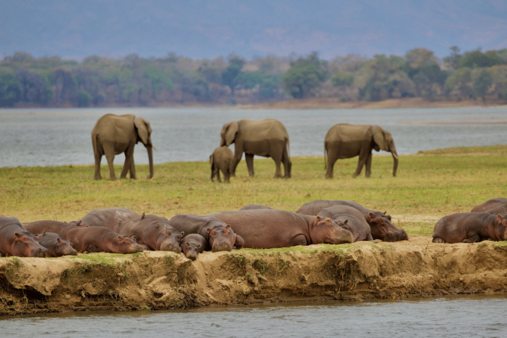 Little Vundu Camp — foto galleria 5