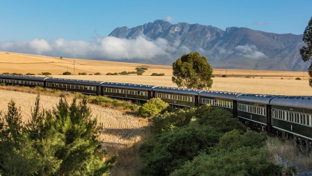 Passenger train winds through golden fields with mountains in the distance under a blue sky.