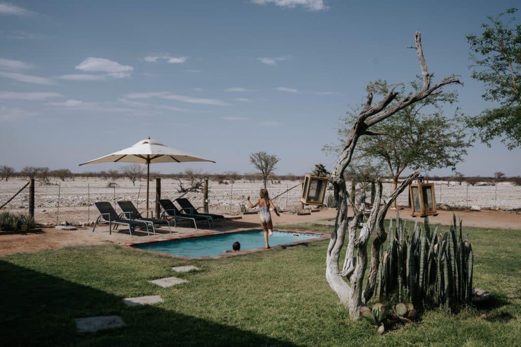 Safari House — foto galleria 4
