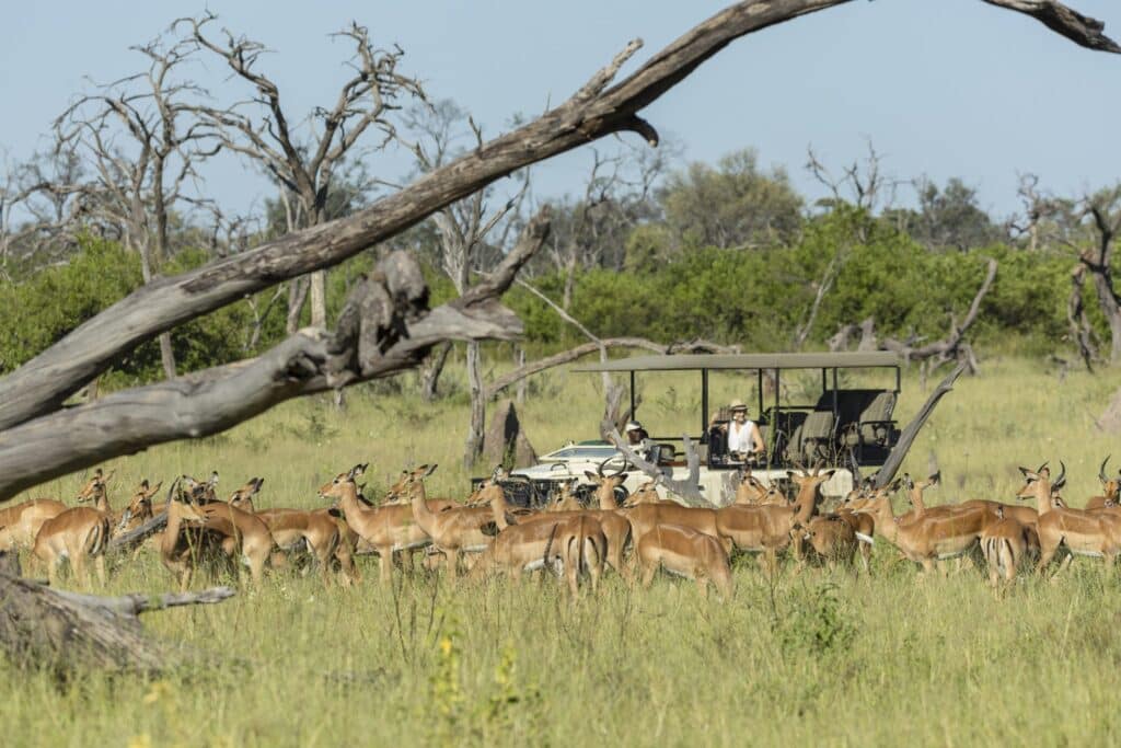 Sango Safari Camp — foto galleria 2
