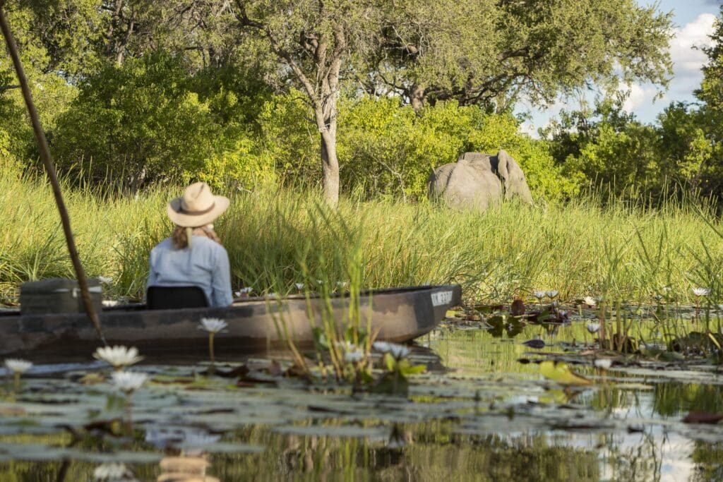 Person in a wide boat wearing a hat sits in a marshy, lily-filled waterway with tall grasses and trees in the background.