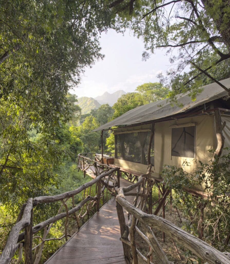 Sarara Treehouse — foto galleria 4