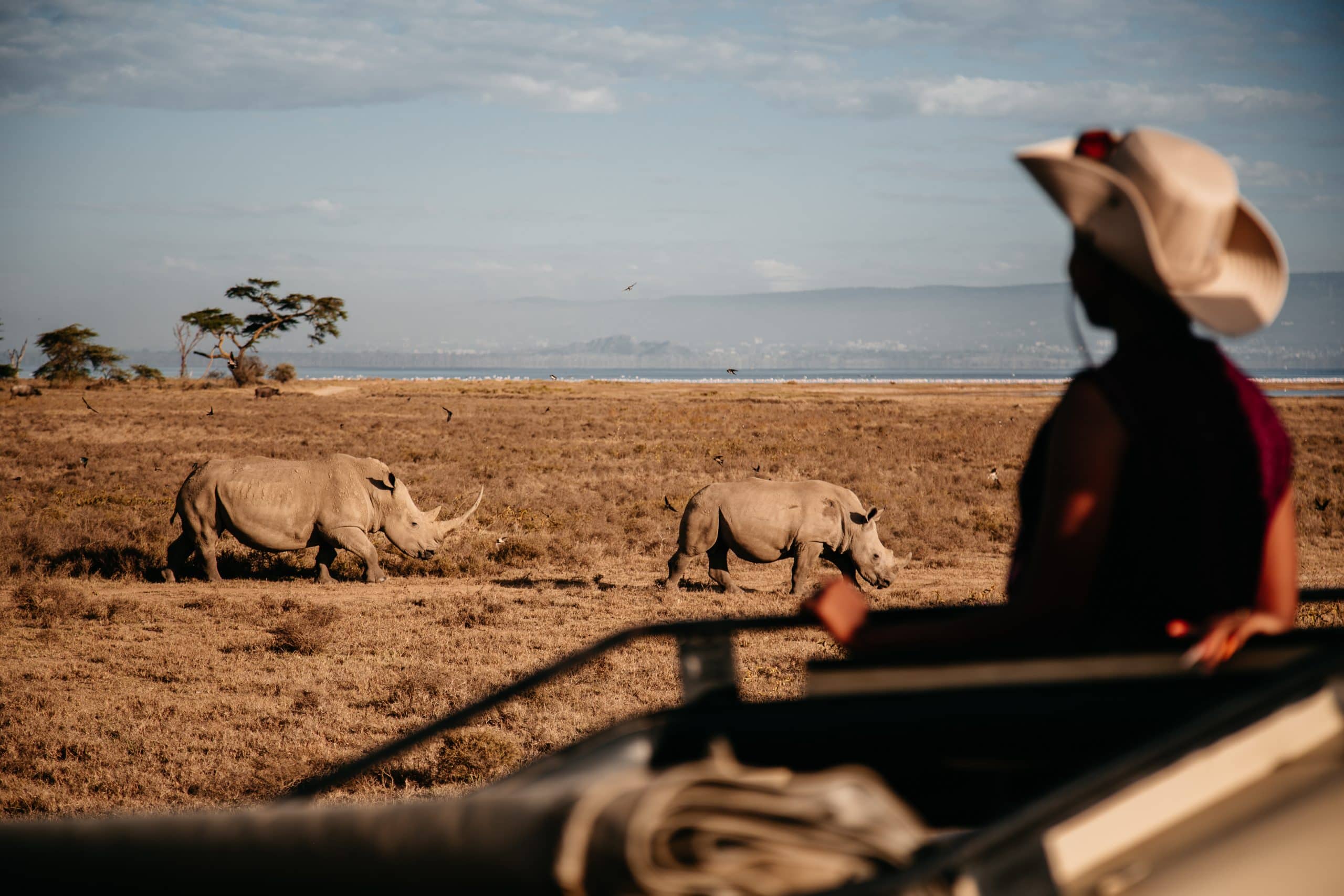 Sarova Lion Hill Game Lodge — sezione atmosphere