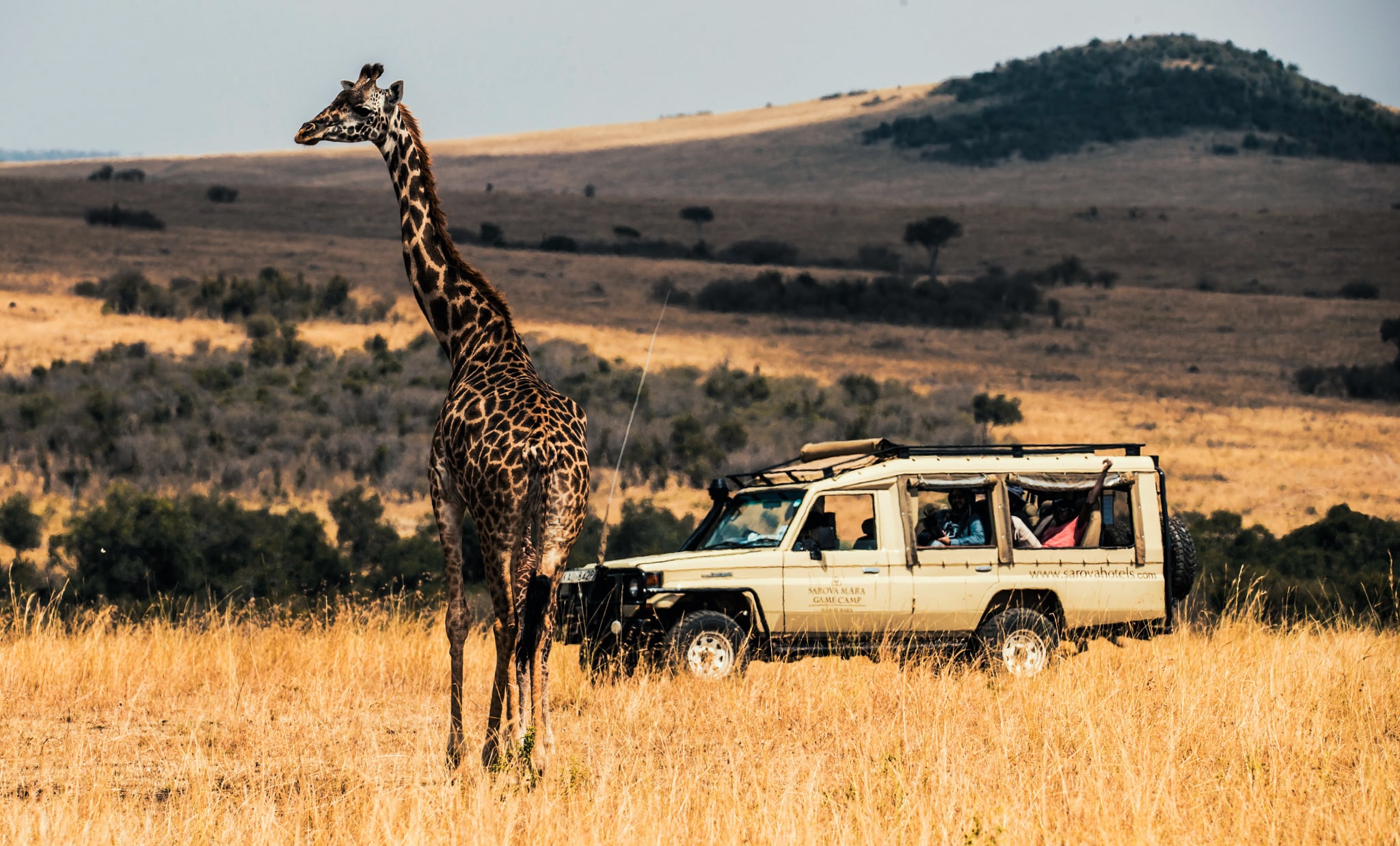 Sarova Mara Game Camp — foto galleria 2