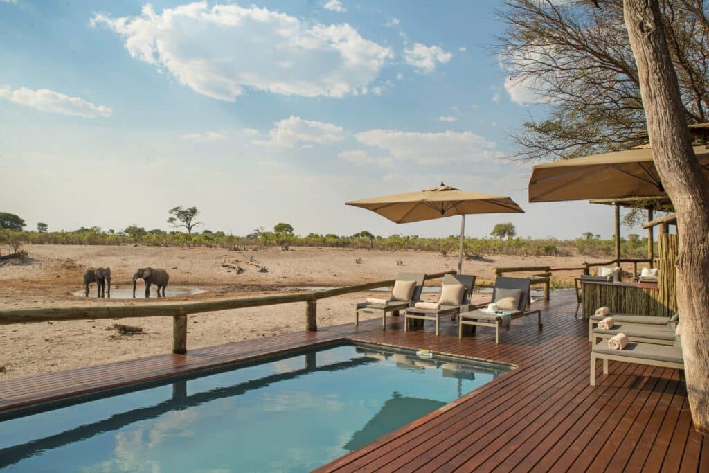 Savute Safari Lodge — foto galleria 3