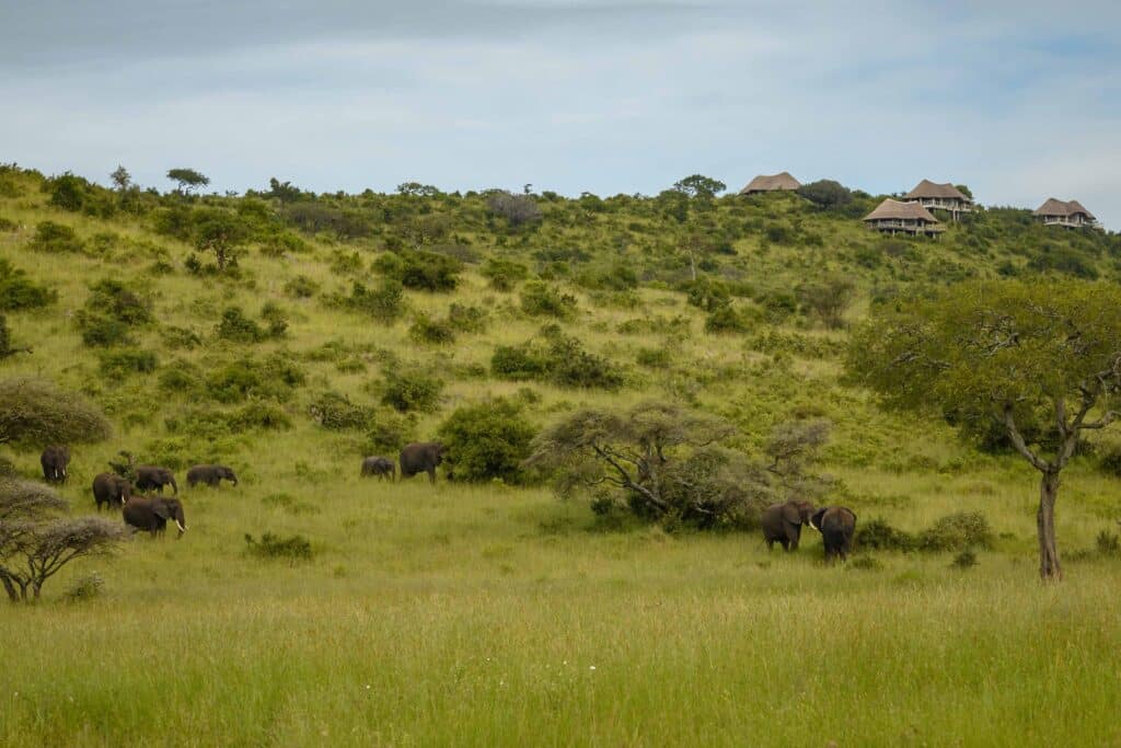 Serengeti Lake Magadi Lodge — foto galleria 3